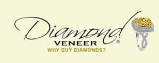 Diamond Veneer Travel Jewelry