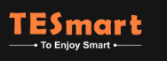 TESmart